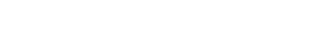 DYN Holding